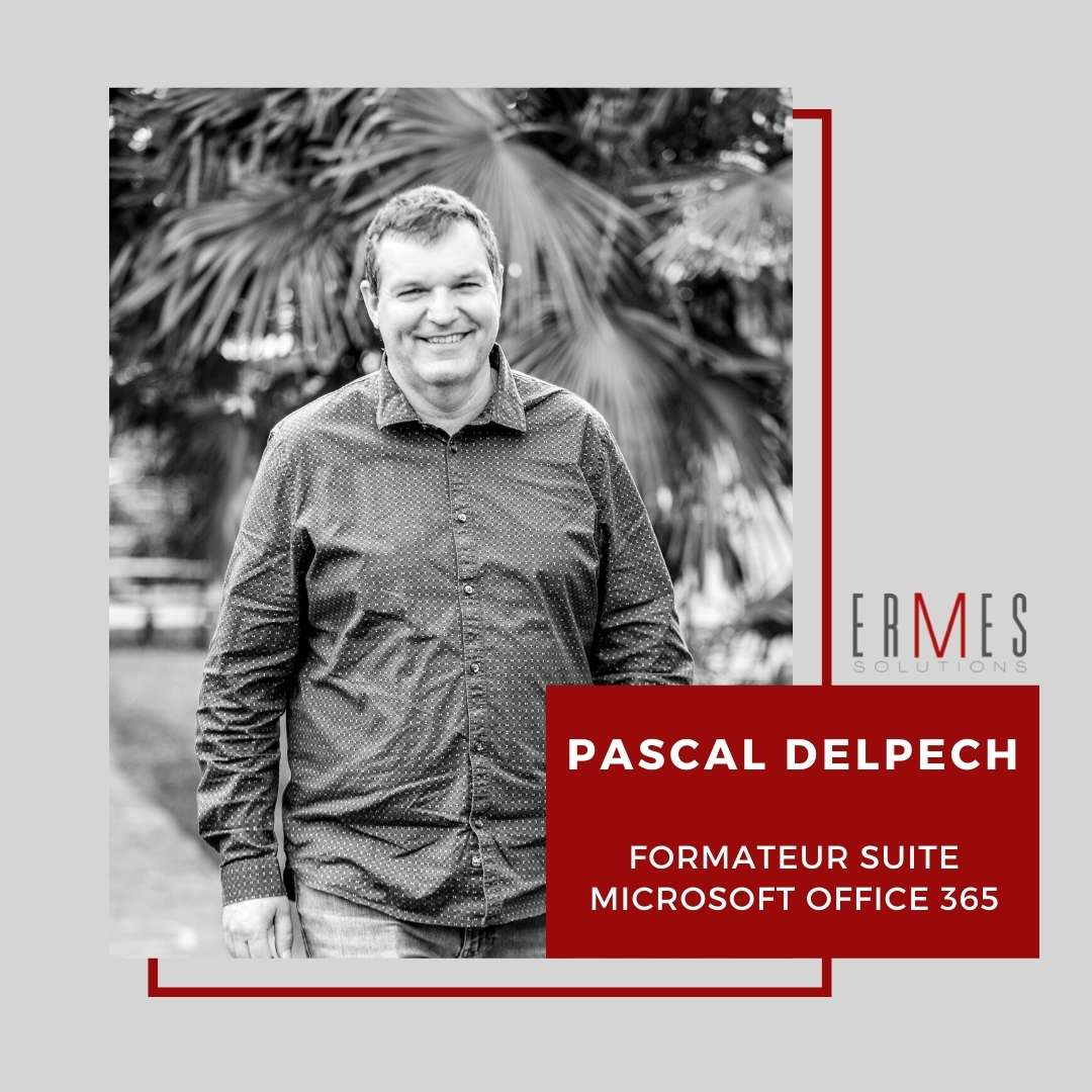 formation-pau-pascal-delpech-excel-microsoft-vba-office-mapping-